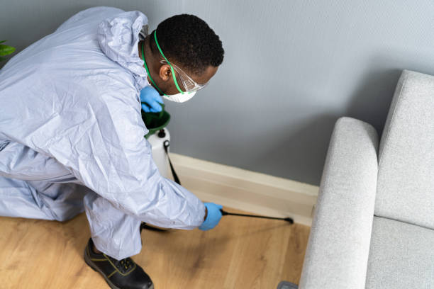 Best Fumigation Services  in Lake Success, NY